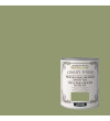 PINTURA EFECTO TIZA CHALKY FINISH XYLAZEL VERDE SALVIA