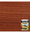 LASUR XYLAZEL PLUS DECORA Y PROTEGE SAPELLY