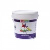 Pintura plastica maestro pintor profesional BLANCO