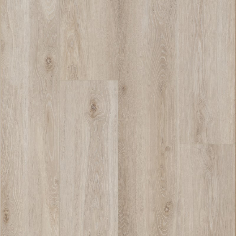 Ocean 12 xl GYANT NATURAL CLARO