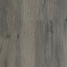 Ocean 12 v4 GYANT GRIS