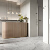 SUELO VINILICO SPC VILO ASH GREY